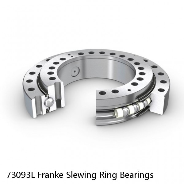 73093L Franke Slewing Ring Bearings