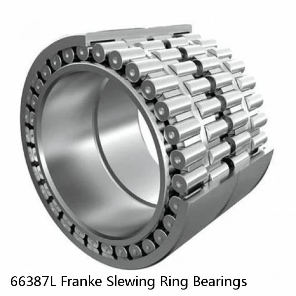 66387L Franke Slewing Ring Bearings