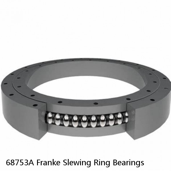 68753A Franke Slewing Ring Bearings