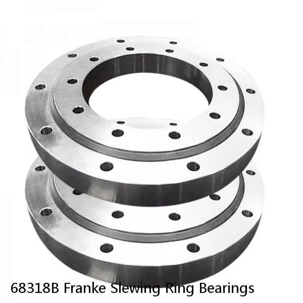 68318B Franke Slewing Ring Bearings