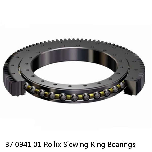 37 0941 01 Rollix Slewing Ring Bearings #1 small image