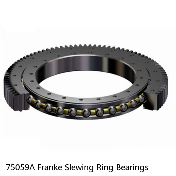 75059A Franke Slewing Ring Bearings