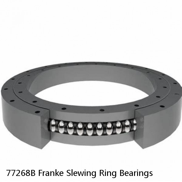 77268B Franke Slewing Ring Bearings