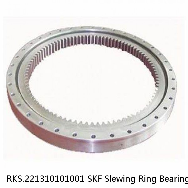 RKS.221310101001 SKF Slewing Ring Bearings