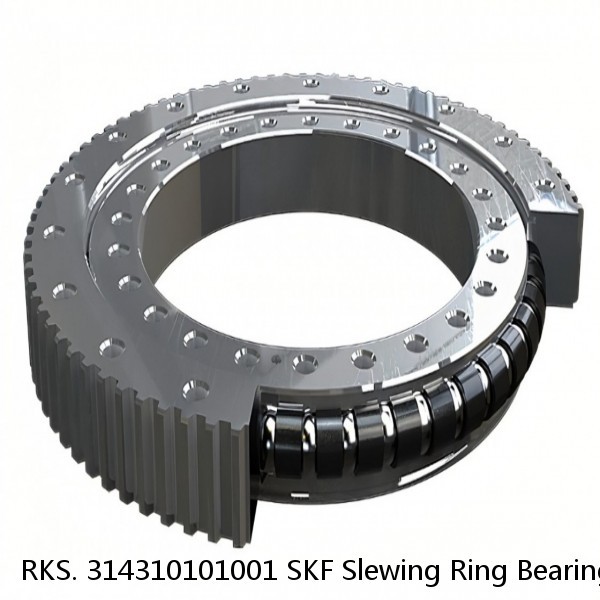 RKS. 314310101001 SKF Slewing Ring Bearings #1 small image
