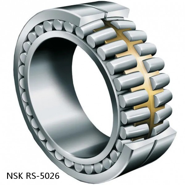 RS-5026 NSK CYLINDRICAL ROLLER BEARING #1 small image