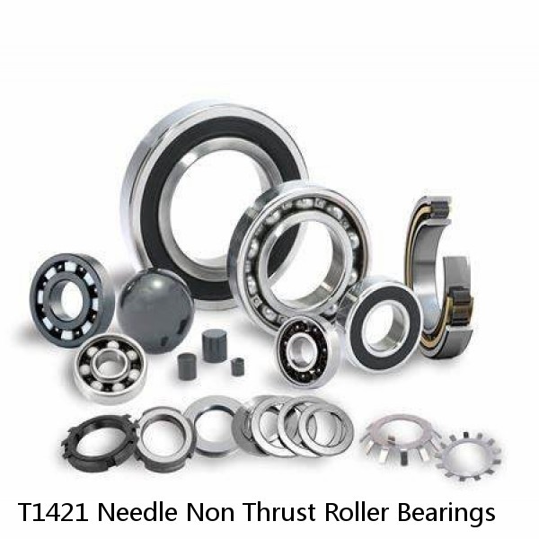 T1421 Needle Non Thrust Roller Bearings #1 image