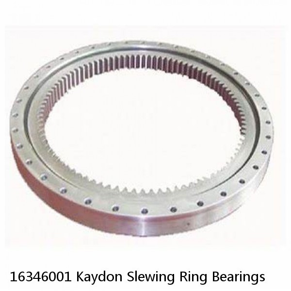 16346001 Kaydon Slewing Ring Bearings #1 image