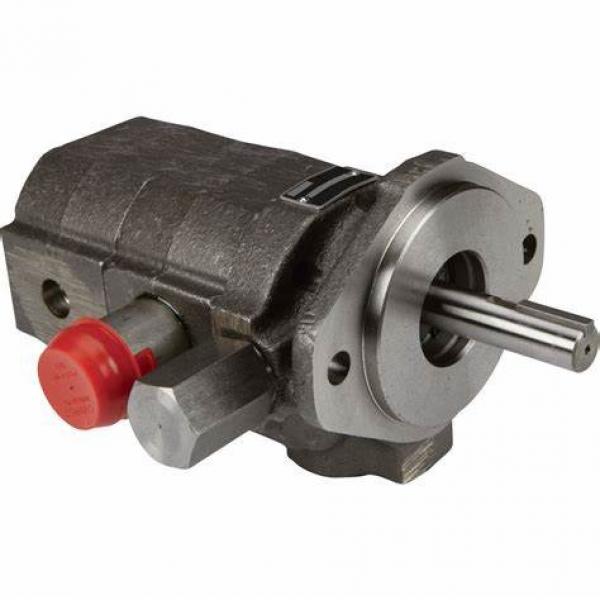 Low Noise Yuken PV2r2 Hydraulic Rotary Vane Pump #1 image