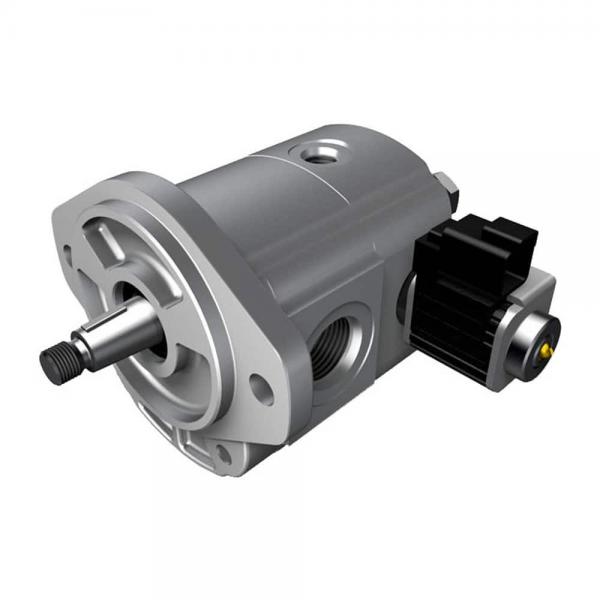 Parker Gear Pump AT331223 PGP330 324-9529-093 #1 image