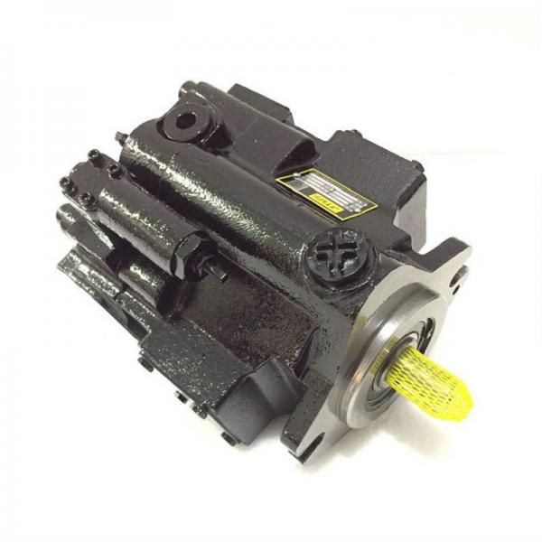 Parker Commercial Intertech Permco Metaris Gear Pump Gears Set and Shafts #1 image