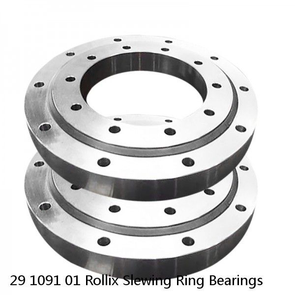 29 1091 01 Rollix Slewing Ring Bearings #1 image