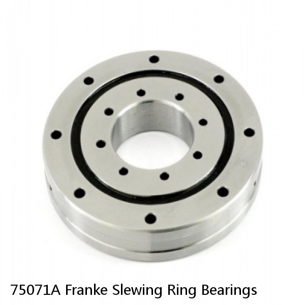 75071A Franke Slewing Ring Bearings #1 image