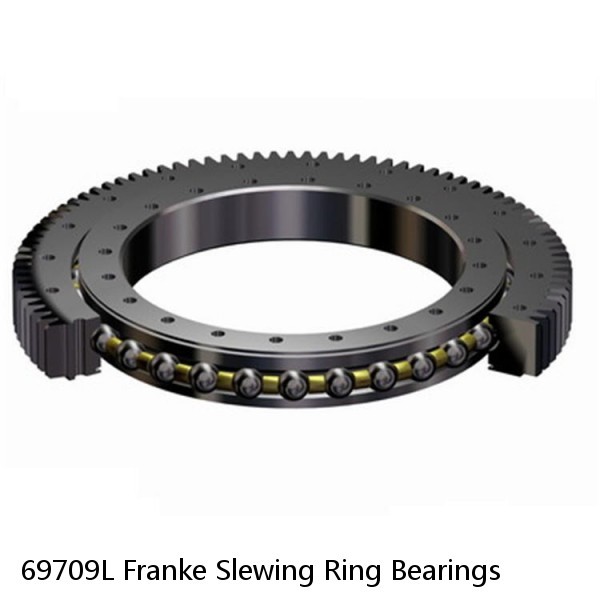 69709L Franke Slewing Ring Bearings #1 image