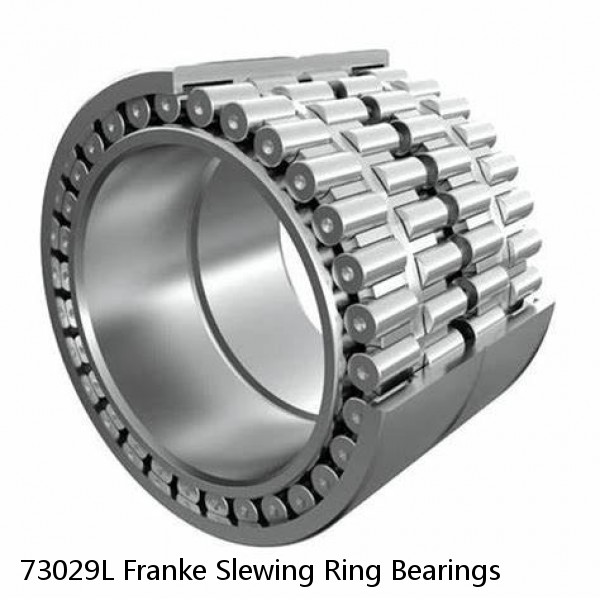 73029L Franke Slewing Ring Bearings #1 image