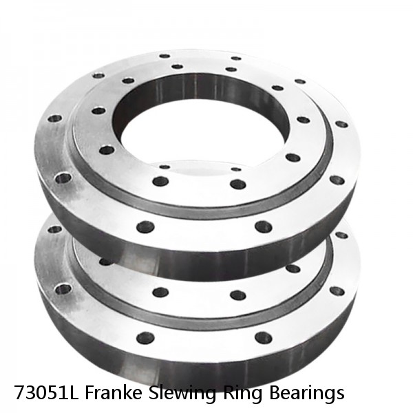 73051L Franke Slewing Ring Bearings #1 image