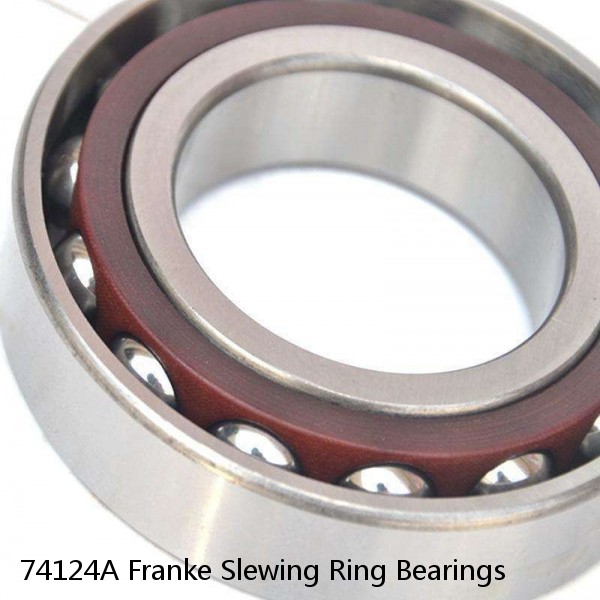 74124A Franke Slewing Ring Bearings #1 image