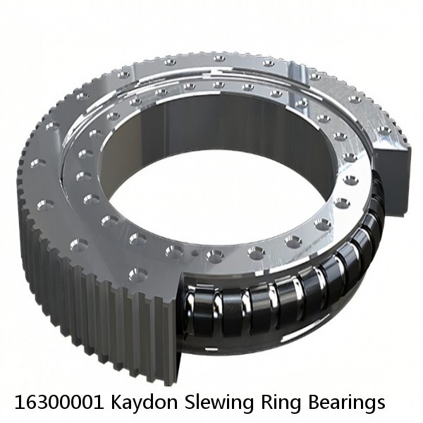 16300001 Kaydon Slewing Ring Bearings #1 image