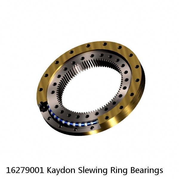16279001 Kaydon Slewing Ring Bearings #1 image