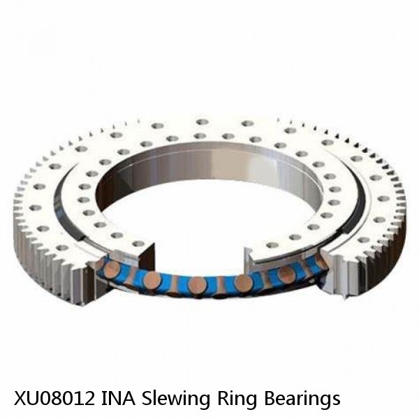 XU08012 INA Slewing Ring Bearings #1 image