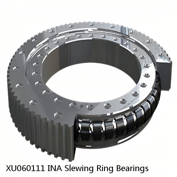 XU060111 INA Slewing Ring Bearings #1 image