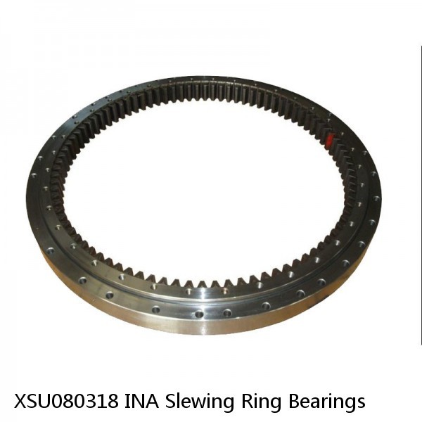 XSU080318 INA Slewing Ring Bearings #1 image