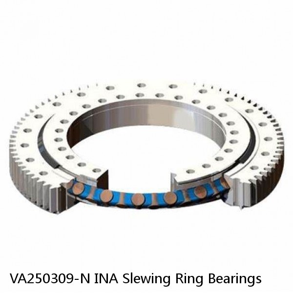 VA250309-N INA Slewing Ring Bearings #1 image