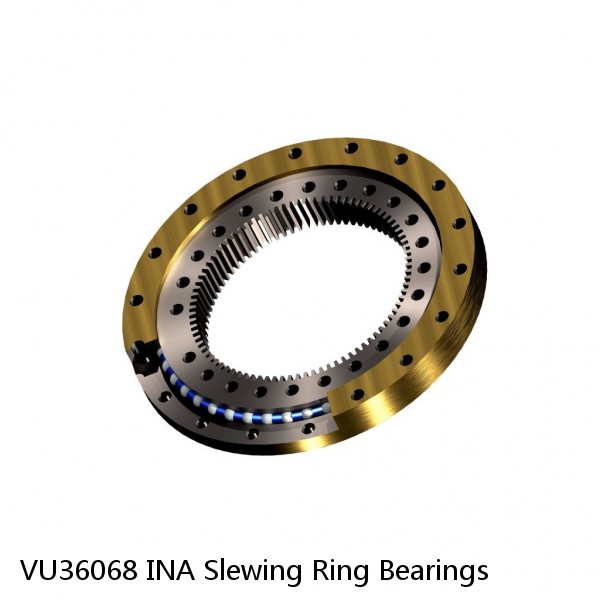 VU36068 INA Slewing Ring Bearings #1 image