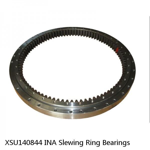 XSU140844 INA Slewing Ring Bearings #1 image