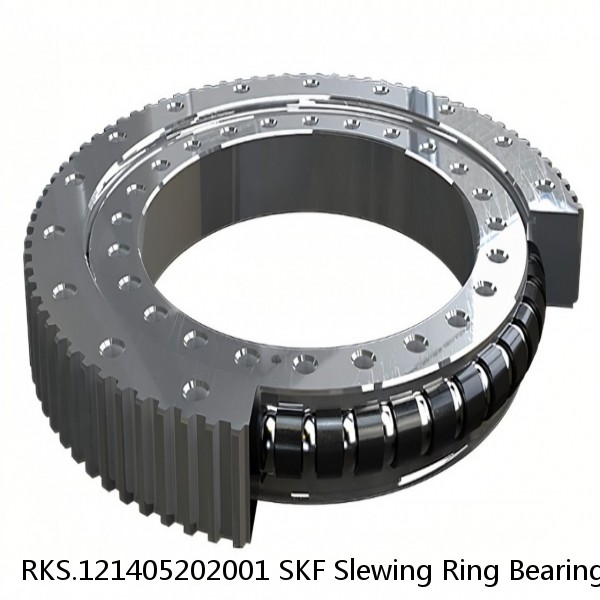 RKS.121405202001 SKF Slewing Ring Bearings #1 image