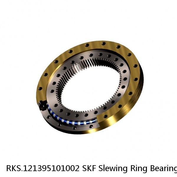 RKS.121395101002 SKF Slewing Ring Bearings #1 image