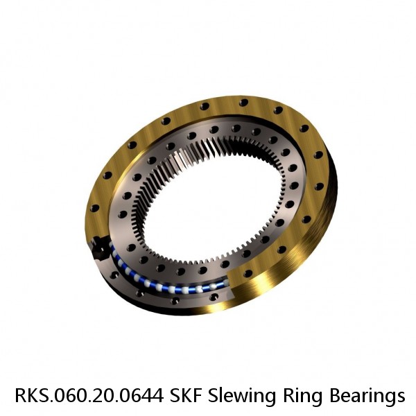 RKS.060.20.0644 SKF Slewing Ring Bearings #1 image