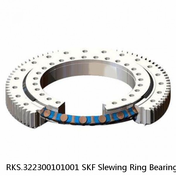 RKS.322300101001 SKF Slewing Ring Bearings #1 image