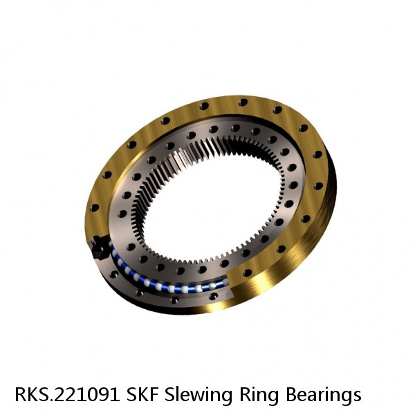 RKS.221091 SKF Slewing Ring Bearings #1 image